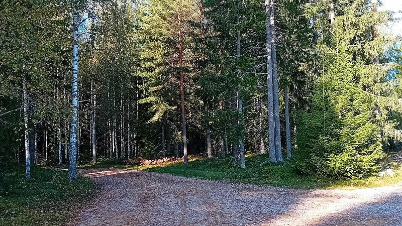 Karte