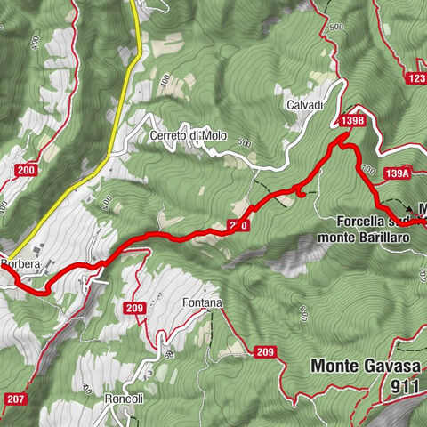 Sentiero 200 - Anello Borbera - Spinti - TAPPA 3/11 (Molo Borbera - Forcella Sud Monte Barillaro) in camminata