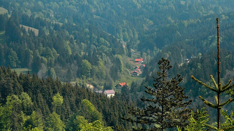 Karte