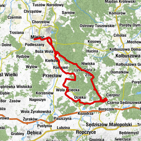 Rajdzior Leśny Do Kamionki