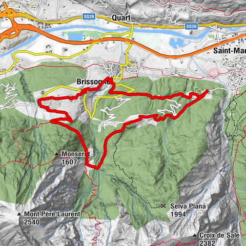 Vurvian - Brissogne - Fauve - Vurvian