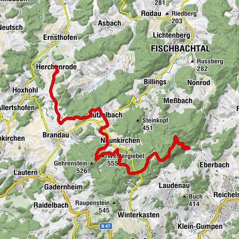 Vom Rodenstein nach Herchenrode