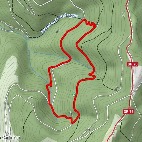 Der Wald von Cantinière