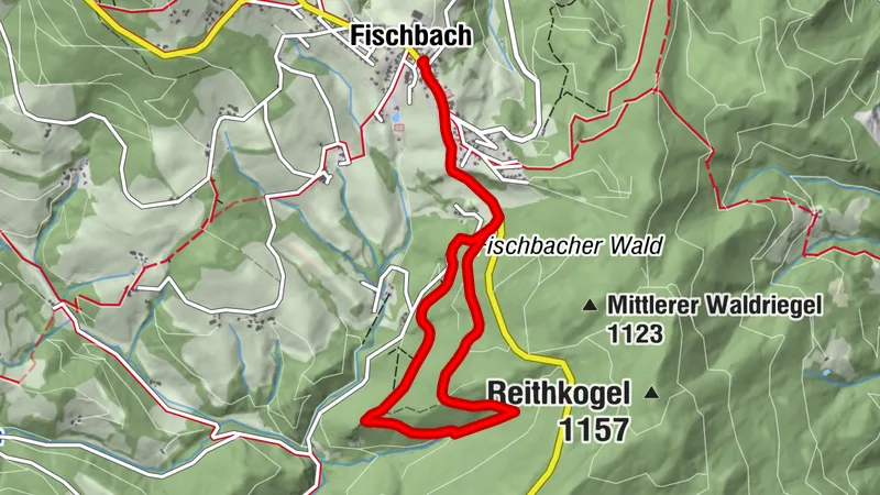Winter- und Schneeschuhwanderung durch die Fischbacher Winterwälder, Fischbach