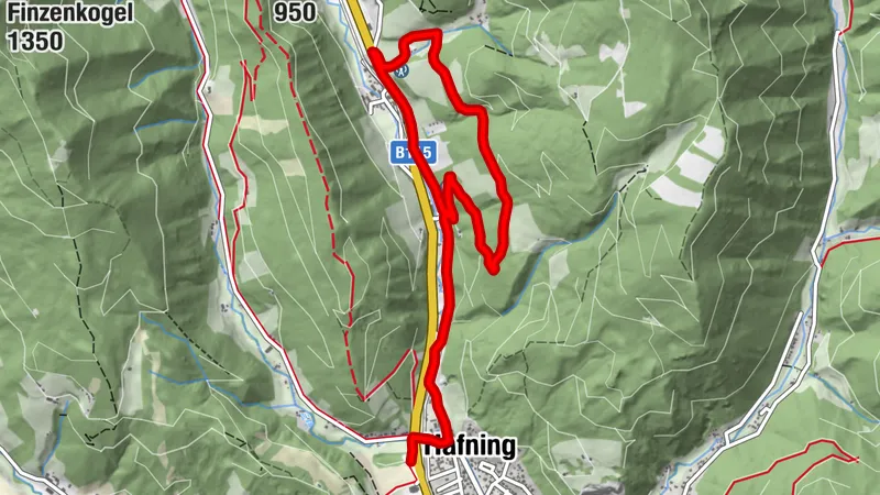 Damhirsch Runde I 804