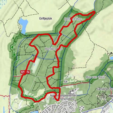 Terschelling Donkere Bos
