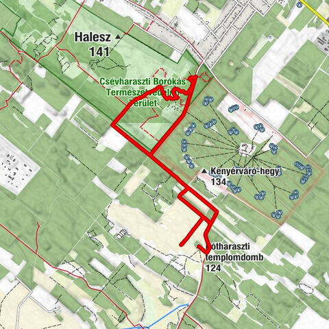 Csévharaszt - Kerek-tisztás - Pótharaszti templomdomb - gótikus középkori templomrom