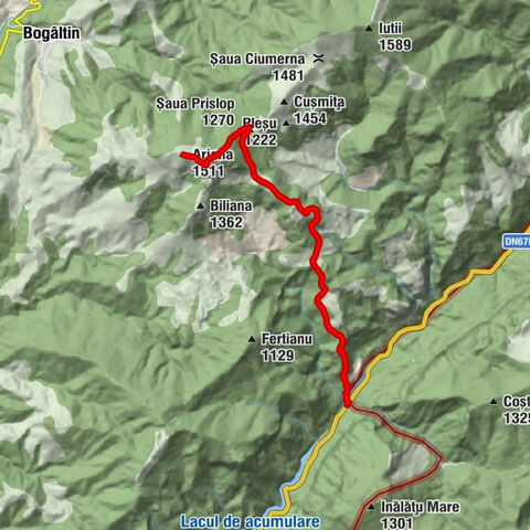 Cornereva - Șaua Prislop - Dosu Cerbului - Arjana