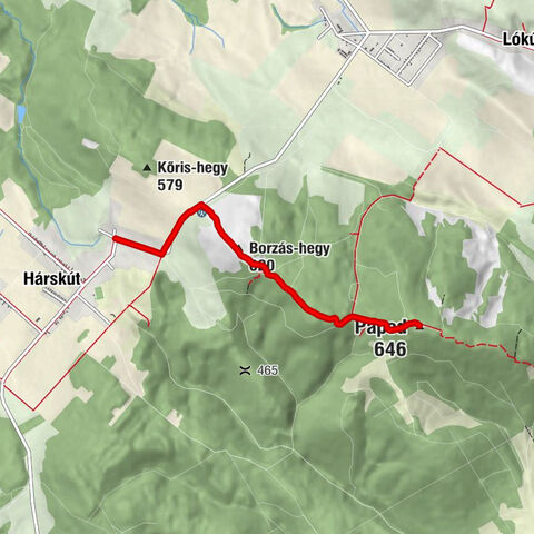 Gyertyánkút - Borzás-hegy - Vitéz Bertalan Árpád kilátó - Papod