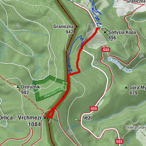 Olešnice v Orlických horách - Orlica / Vrchmezí