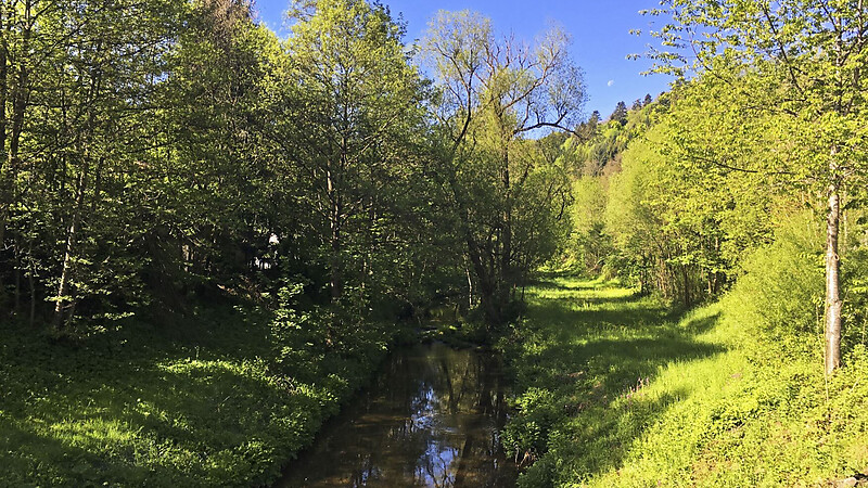 Karte