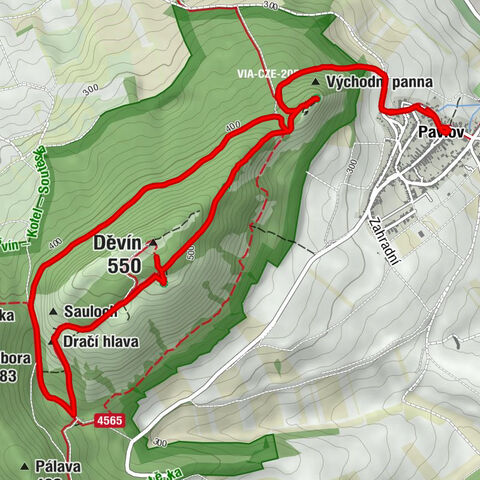 Pavlov - Děvín - Dračí hlava