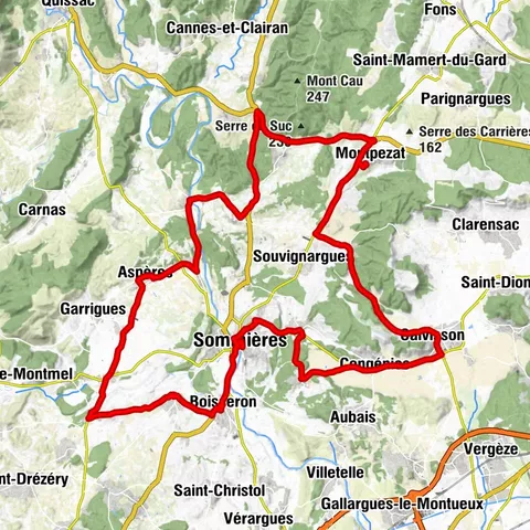 WEINSTRASSE - WEINE, VIDOURLE, DÖRFER