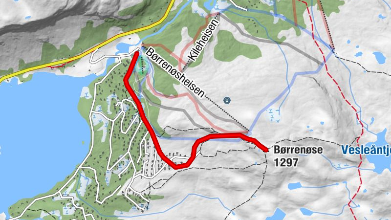 Vang - Børrenøse
