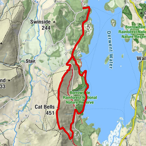 Above Derwent - Skelgill Bank - Cat Bells - Hause Gate