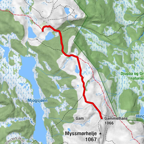 Nysetra - Gammelhans