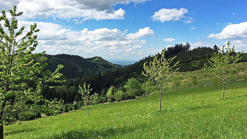 Karte