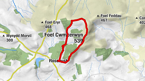 Rosebush - Foel Cwmcerwyn