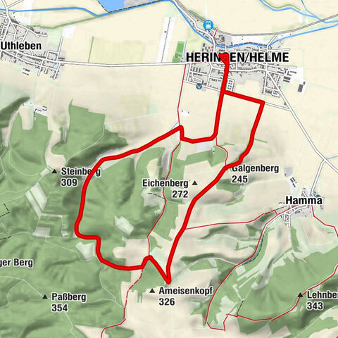 Heringen/Helme - Goldborn - Galgenberg