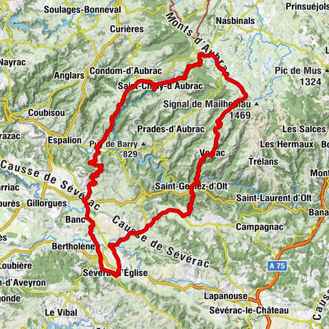 Église de l'Assomption - Église de Sainte-Affrique-du-Causse - Portalet - Sévérac-l'Église