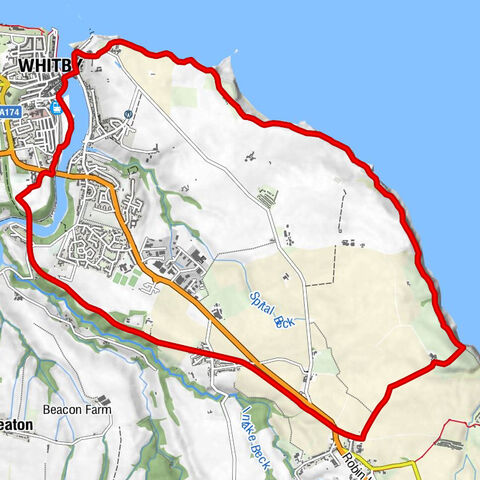 Whitby - St Mary's - Stainsacre - Dock End