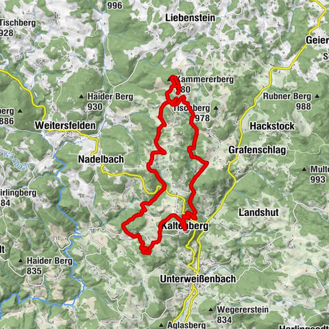 Kaltenberg - Kammererberg - Kammererkreuz - Rifflberg