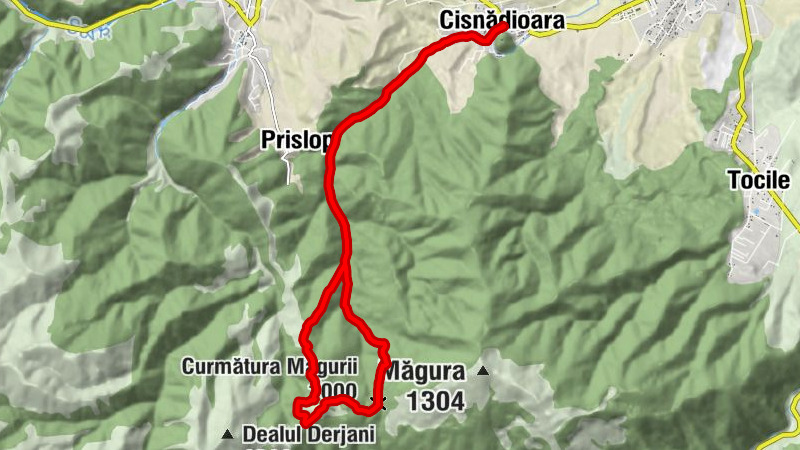 Pensionea Sub Cetate - Drăguț - Curmătura Măgurii - Restaurant Monaru