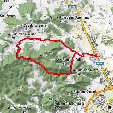 Cas Corb - Eivissa - Vinya Llarga