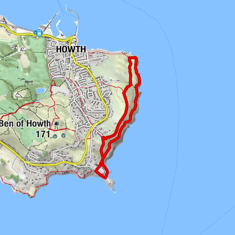 The Summit - Howth - Dolphins