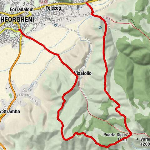 Gheorgheni - Poarta Șipos - Visafolio