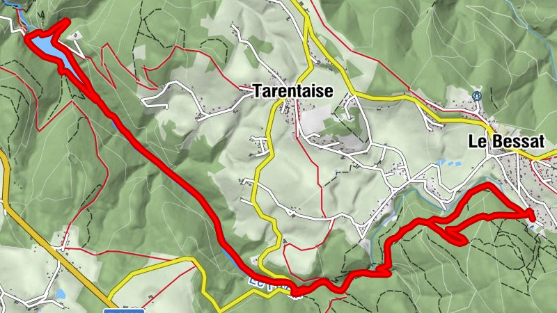 Karte