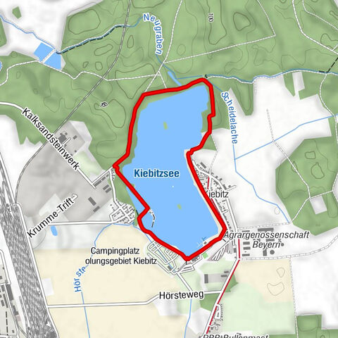 Falkenberg/Elster - Kiebitz