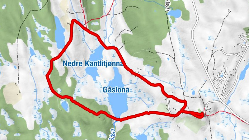 Fagerhøy - Midtre Kantlia