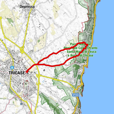 Tricase - Chiesa della Natività della Beata Vergine Maria - Cappella della Madonna di Loreto - Madonna di Loreto