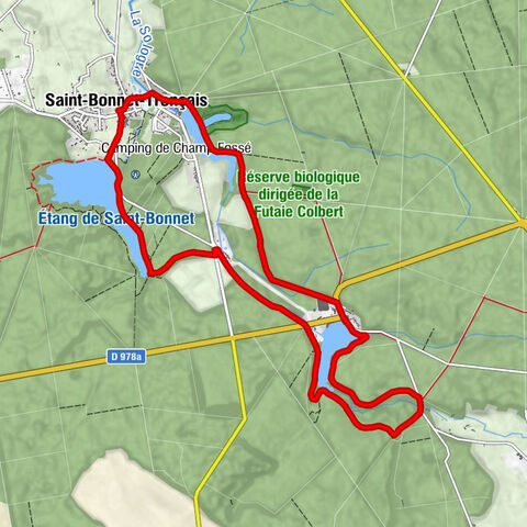 Saint-Bonnet-Tronçais - Sologne - Rond de Tronçais - Tronçais