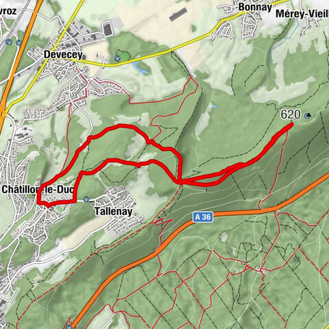 Église Saint-Lazare - Châtillon-le-Duc