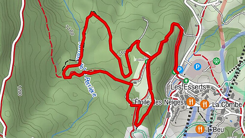 Snowshoeing itinerary : The Charniaz plateau