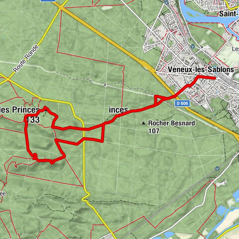 Moret-Loing-et-Orvanne - Veneux-les-Sablons - Chez Noulek - Rochers des Princes