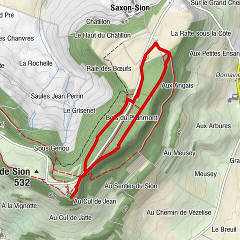 Saxon-Sion - Bois du Plainmont