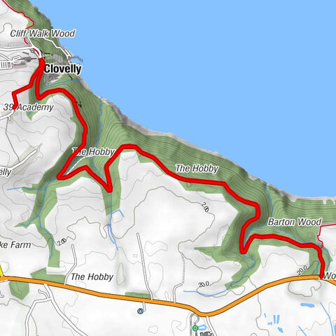 Clovelly - Harbour View