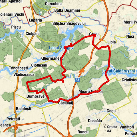 Gruiu - Restaurant Casa Leu - Snagov