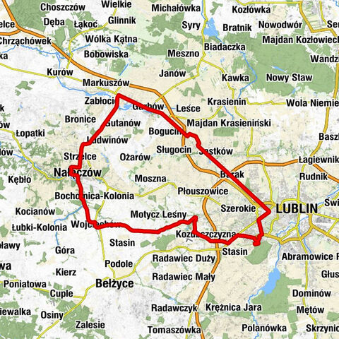 Konstantynów - Kościół pw. Świętego Karola Boromeusza w Nałęczowie - Kościół pw. Najświętszej Maryi Panny Matki Kościoła w Palikijach - Węglin Południowy