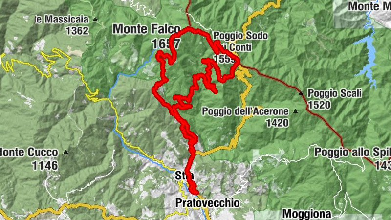 Pratovecchio Stia - Poggio Sodo dei Conti - Monte Falco - Monte Falterona