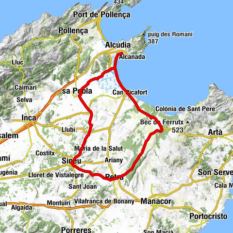 Port d'Alcúdia - Petra - Sineu - Sant Albert Magne