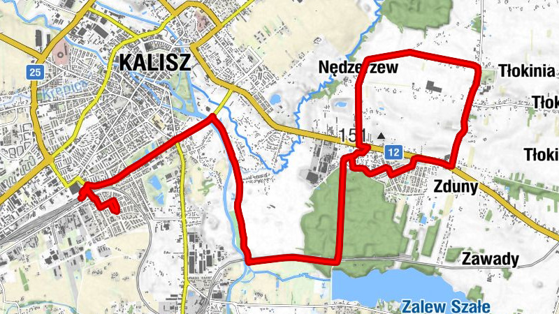 Kalisz - Kościół Narodzenia Najświętszej Maryi Panny - Kościół pw. Błogosławionego Michała Kozala