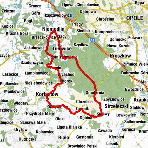 Niemodlin - Kościół parafialny pw. św. Rocha - Kościół parafialny pw. św. Marii Magdaleny - Kościół pw. Nawiedzenia Najświętszej Maryi Panny w Łączniku