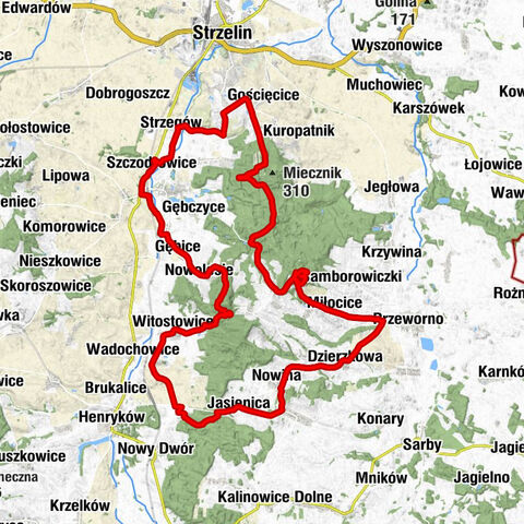 Biały Kościół - Gromnik - Oporna Góra - Kościół pw. św. Marcina