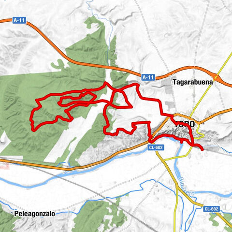 La Estación - Iglesia de la Santísima Trinidad - Iglesia de Santa María de Arbás - Toro