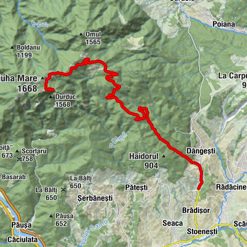 Dângești - Ciuha Mica - Cabana Cozia - Cabana Cozia restaurant