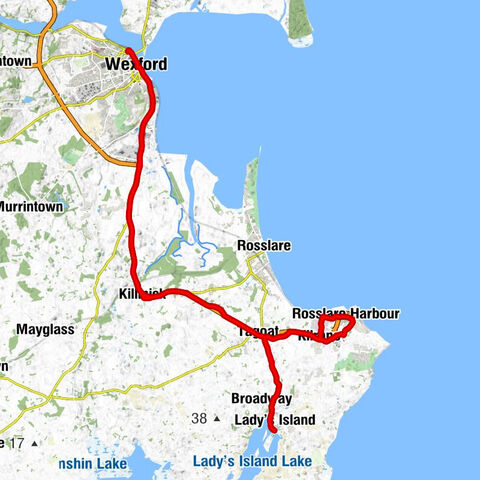 Wexford O'Hanrahan - The Church of the Assumption - St. Ruane's Church - Saint Patricks Church